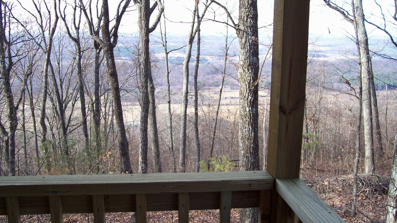 Photo of Others in Mentone