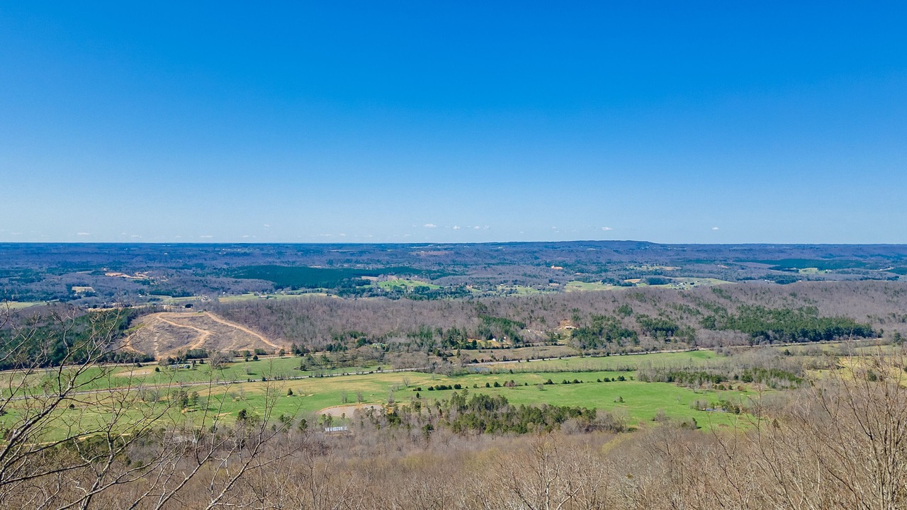 Photo of Others in Mentone