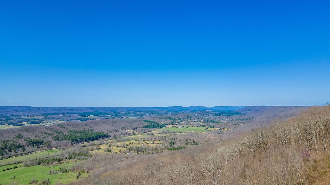 Photo of Others in Mentone