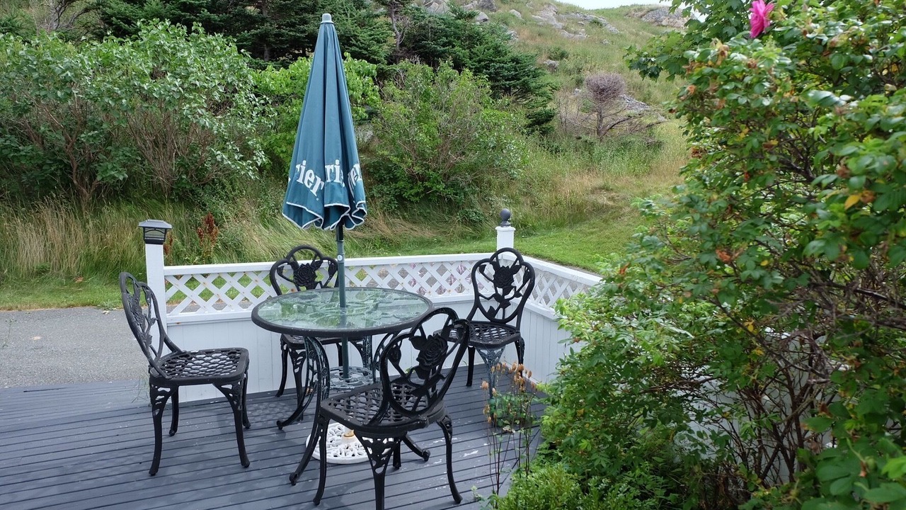 Photo of Outdoor in Portugal Cove - St. Philips
