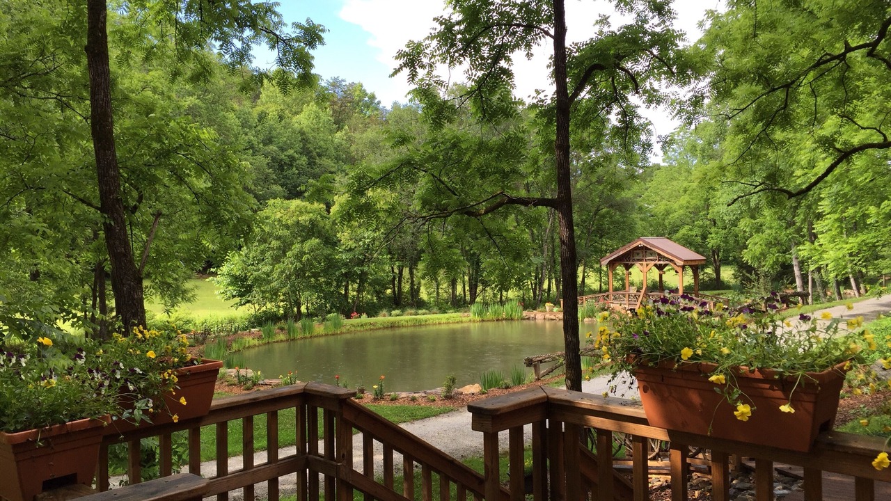 Photo of Outdoor in Pickens