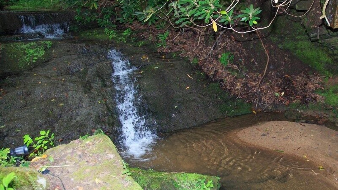 Photo of Others in Pickens