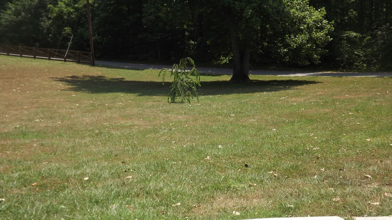 Photo of Others in Speedwell