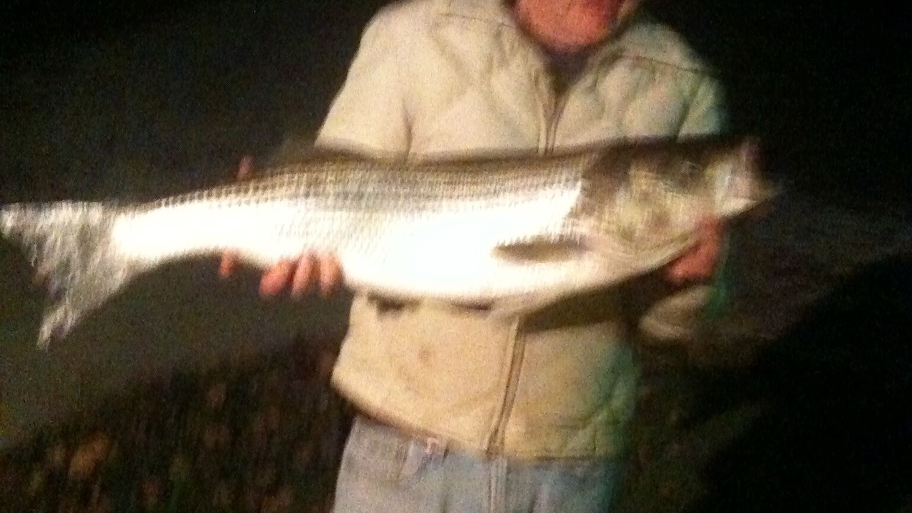 Photo of Others in Speedwell