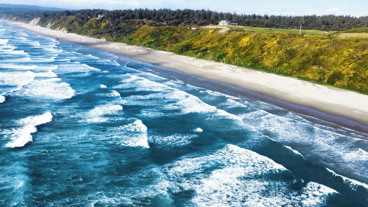 Photo of Others in Bandon