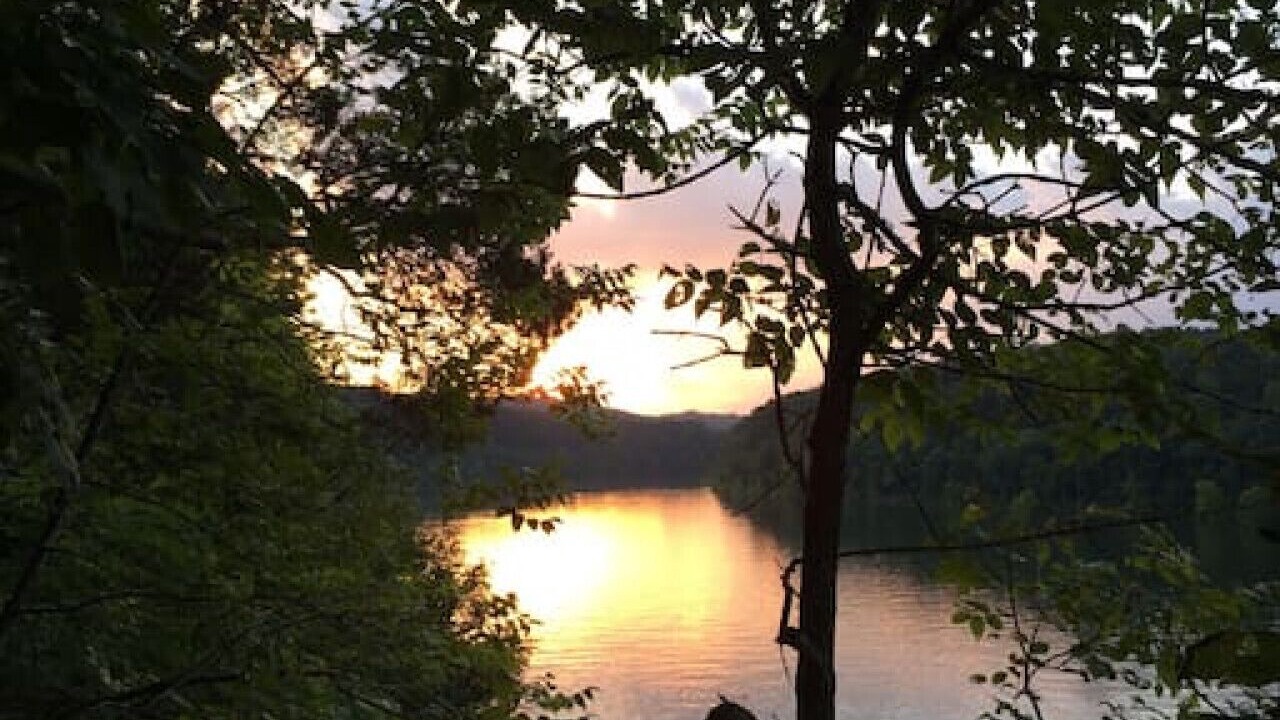 Photo of Outdoor in Bronston