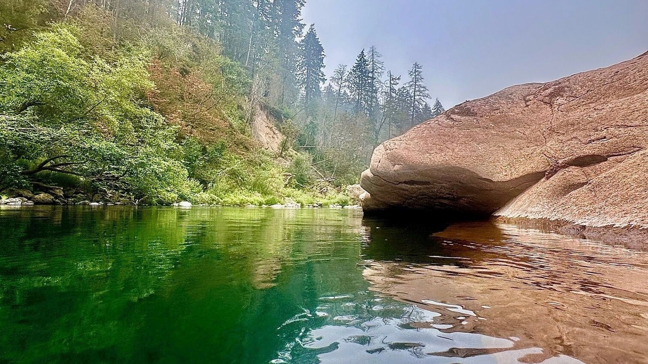 Photo of Others in Roseburg