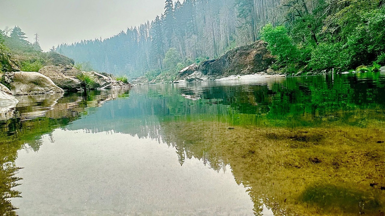 Photo of Others in Roseburg