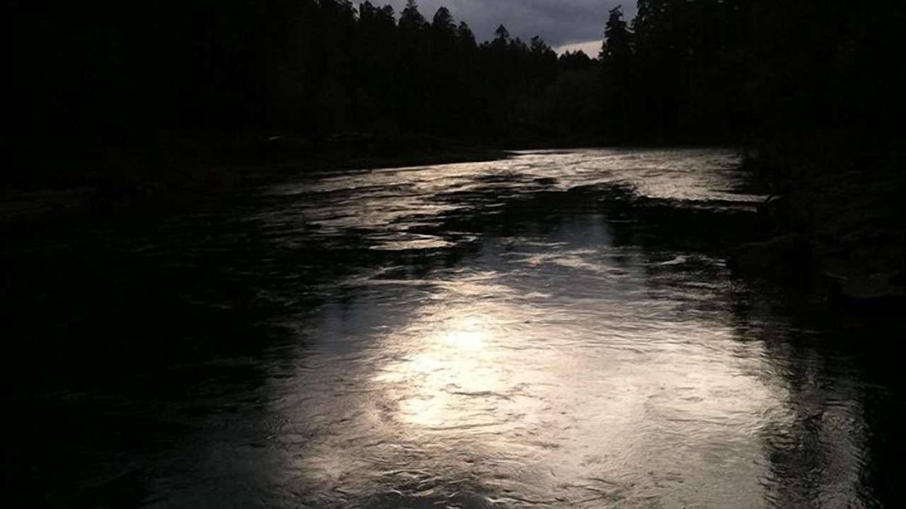 Photo of Others in Roseburg