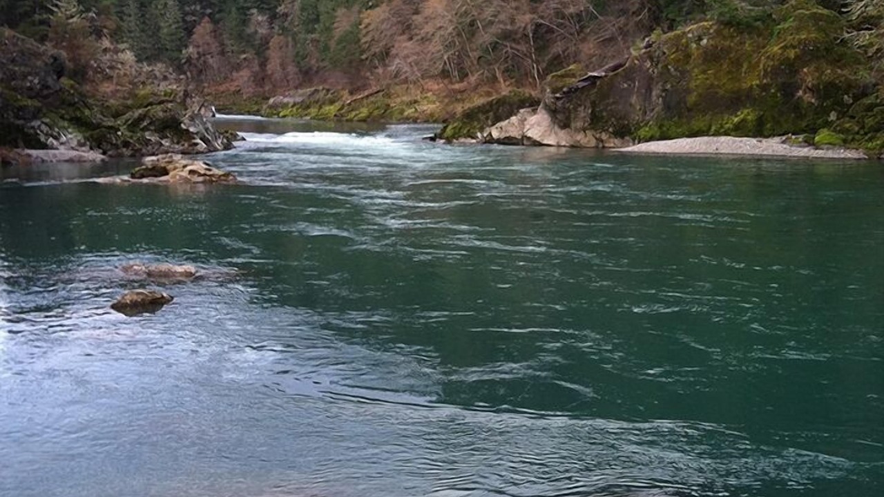 Photo of Others in Roseburg