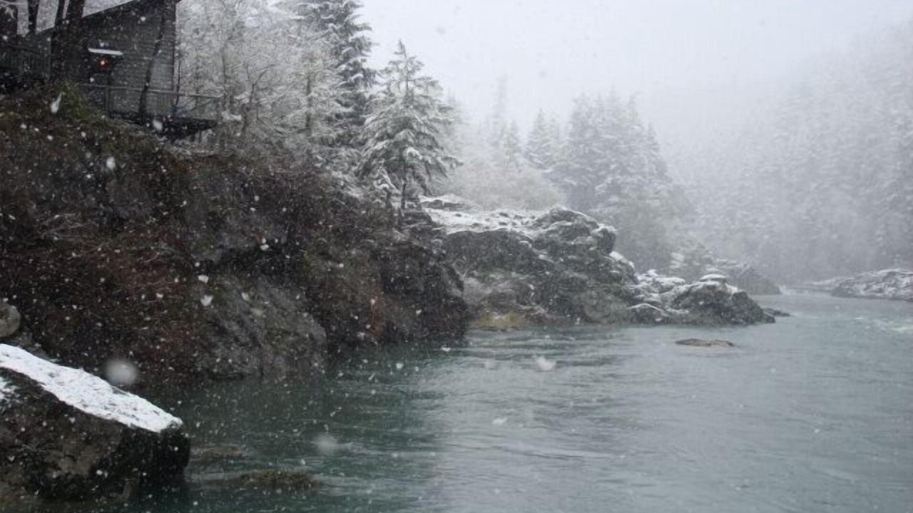 Photo of Others in Roseburg