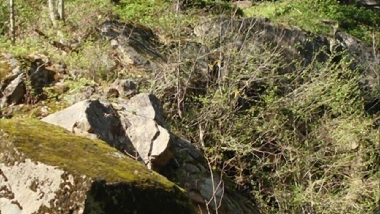 Photo of Outdoor in Roseburg