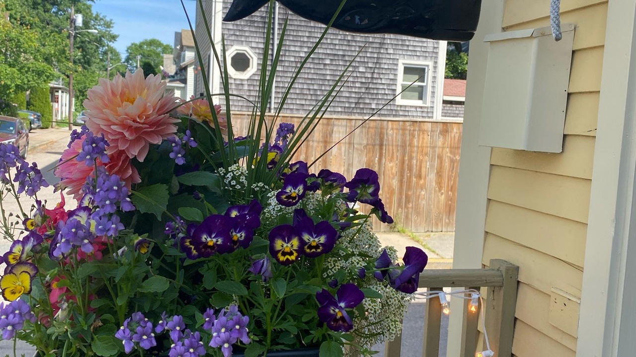 Photo of Outdoor in Off Broadway