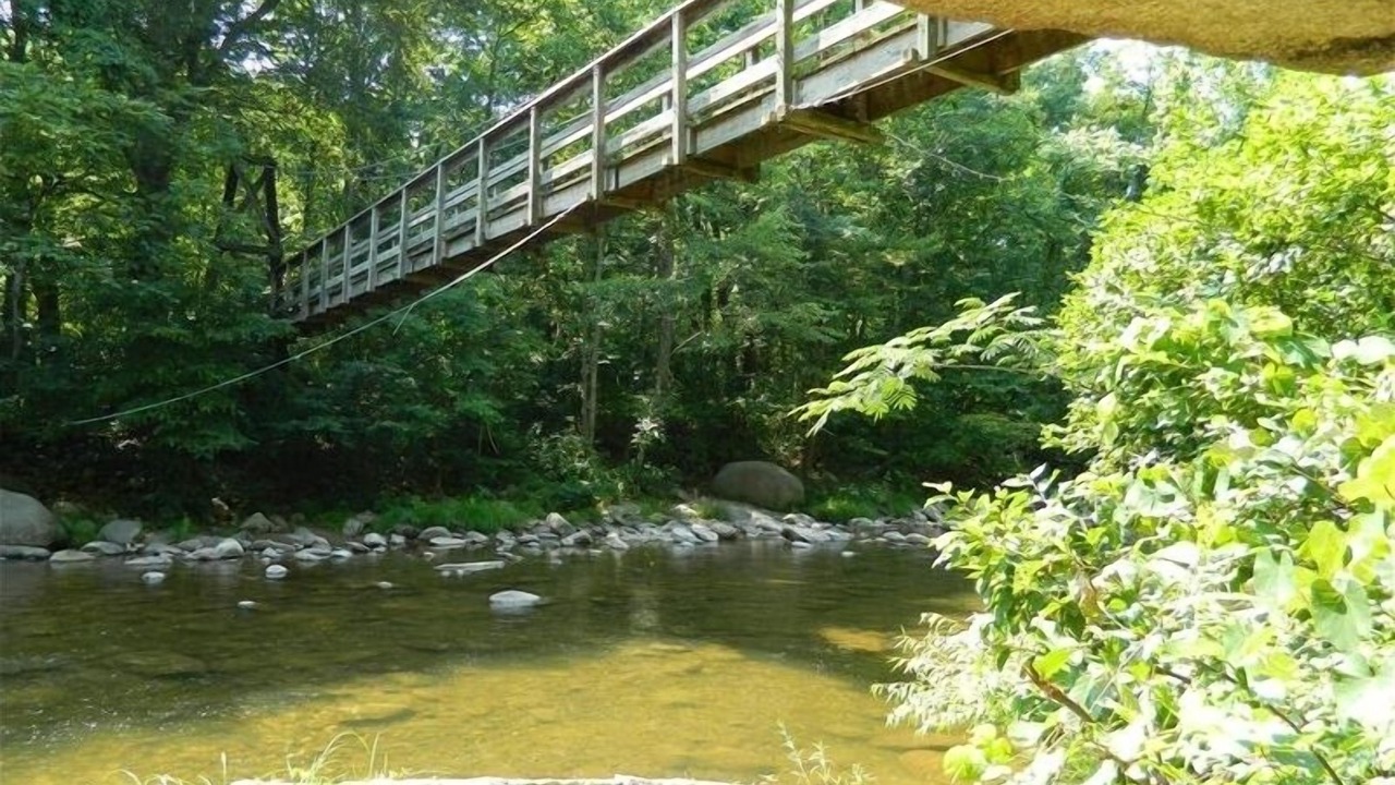 Photo of Others in Tyro