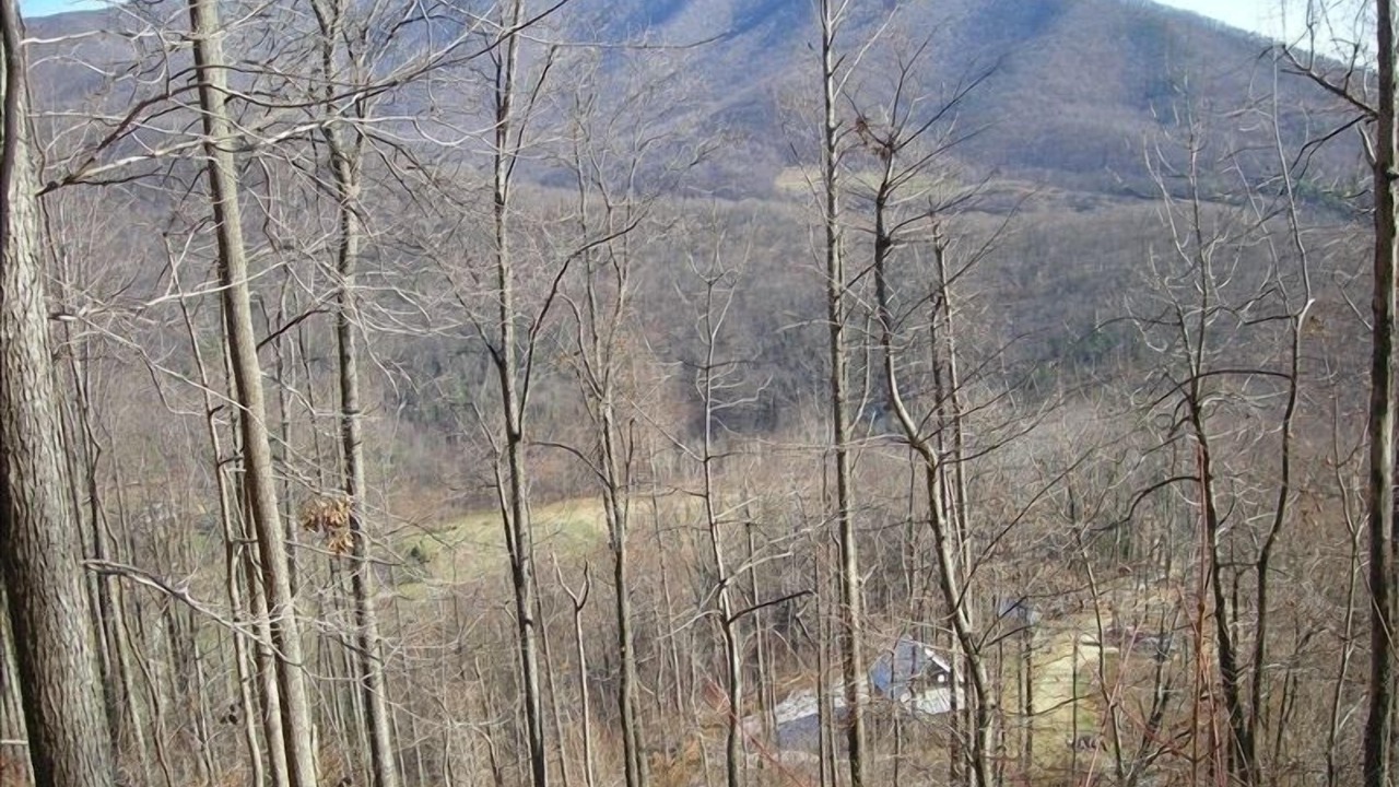 Photo of Others in Tyro