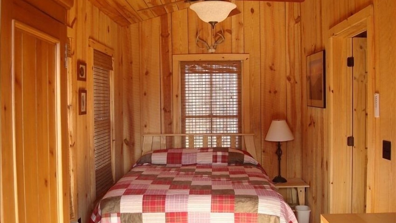 Photo of Others in Tyro