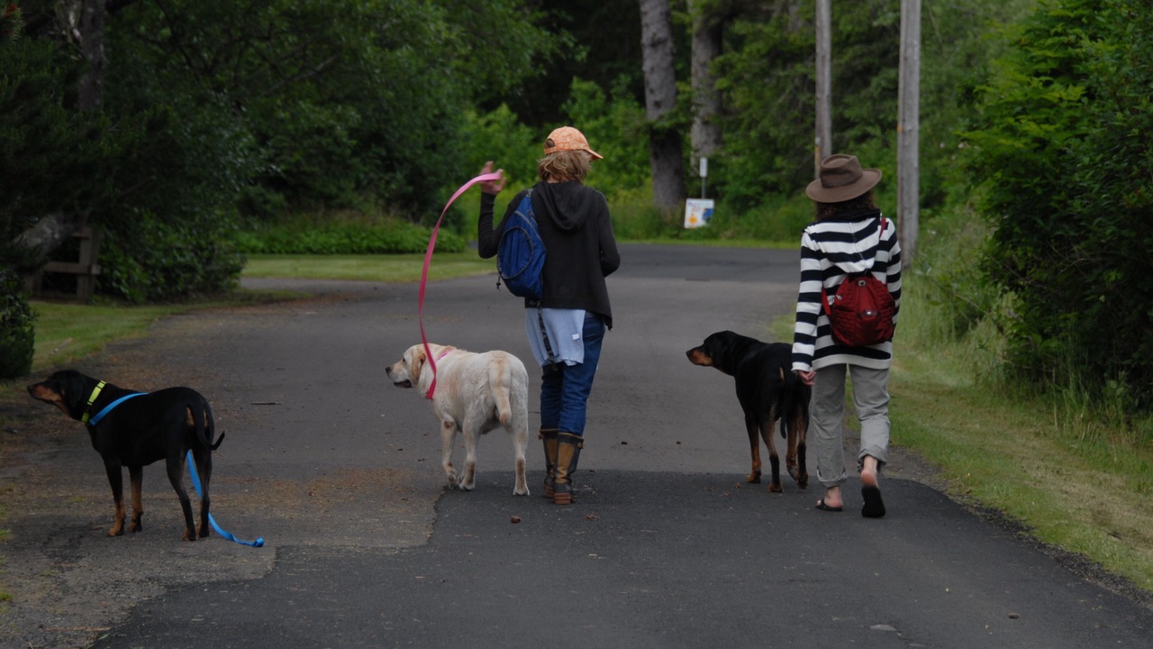 Photo of Others in Neskowin