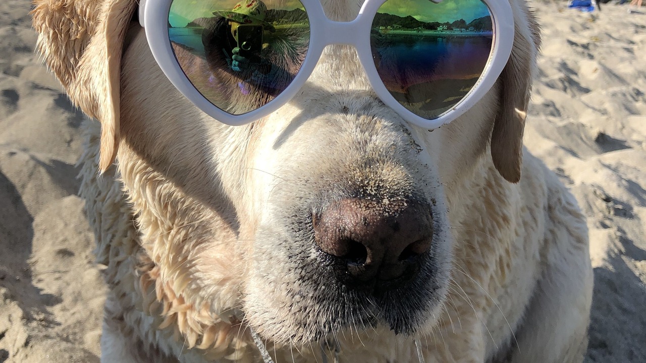 Photo of Others in Neskowin