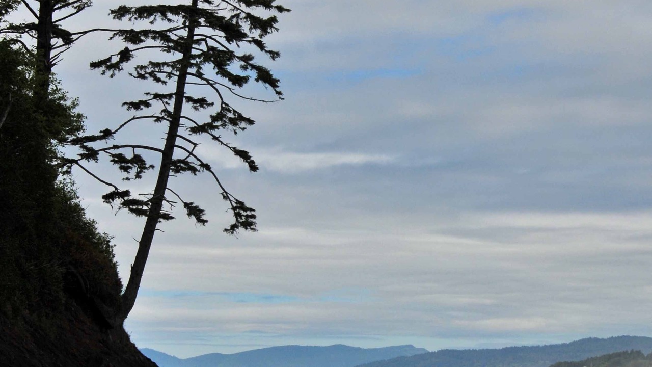 Photo of Others in Neskowin