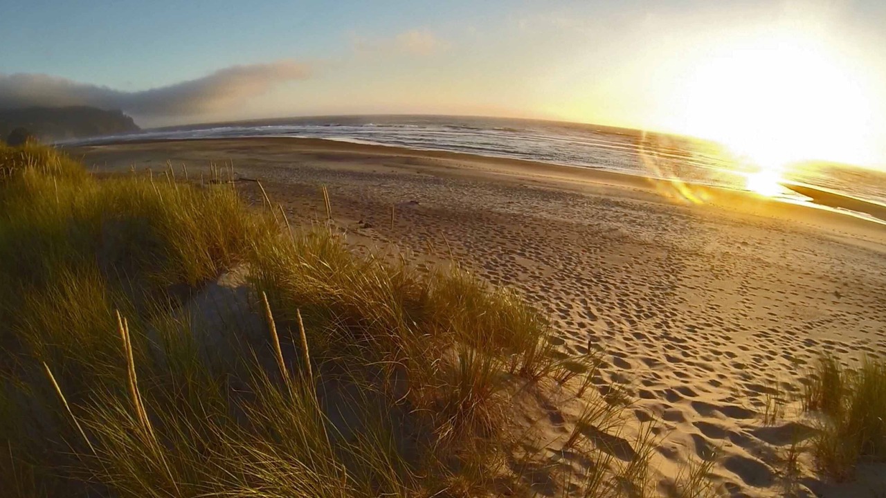 Photo of Others in Neskowin