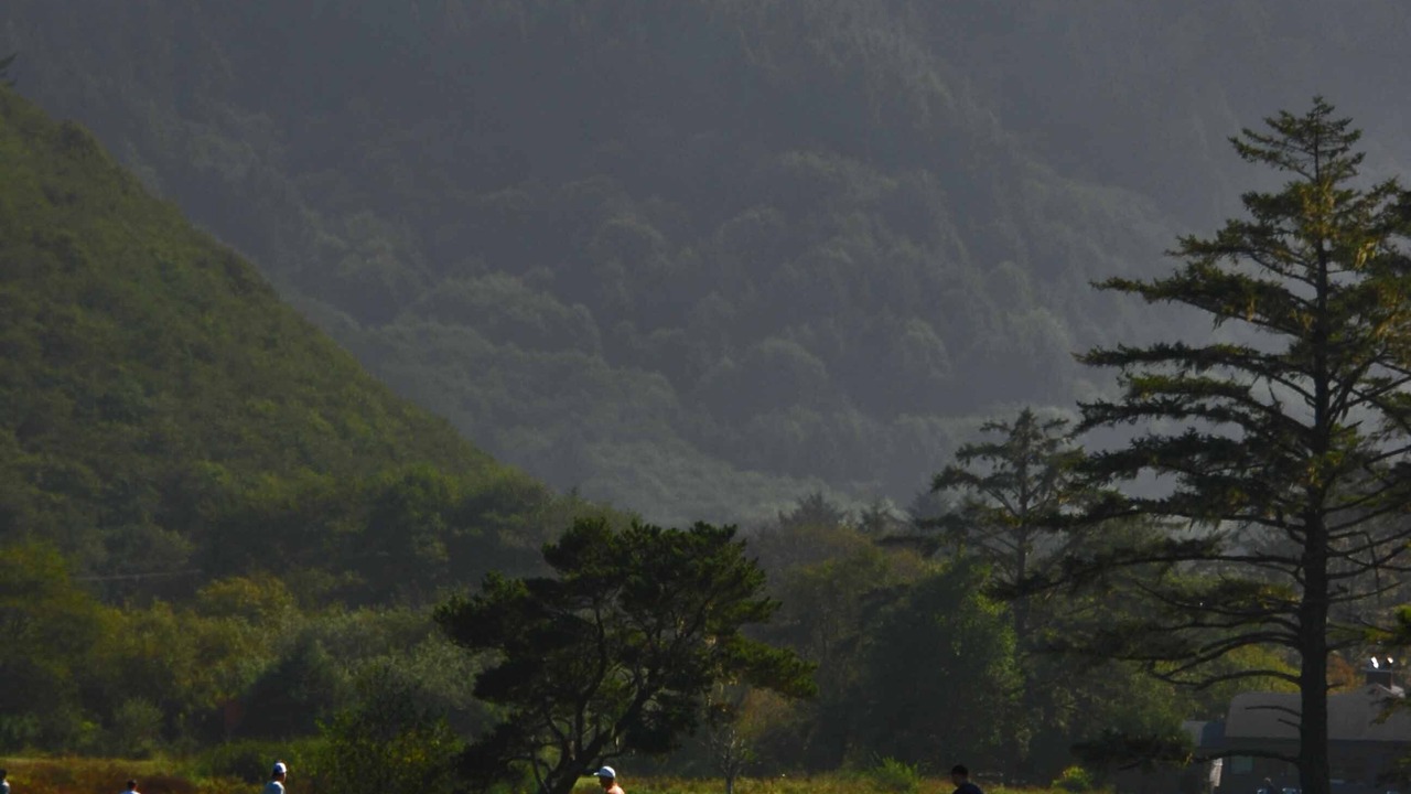 Photo of Others in Neskowin