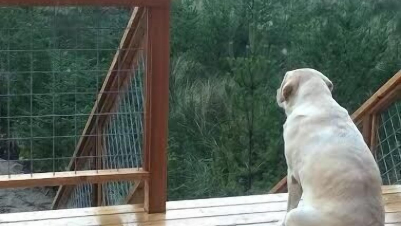 Photo of Others in Neskowin