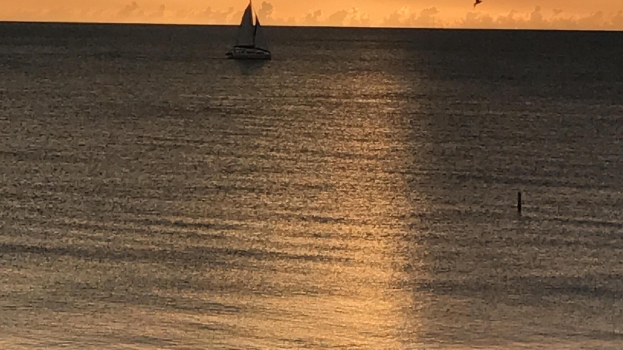 Photo of Others in Indian Rocks Beach