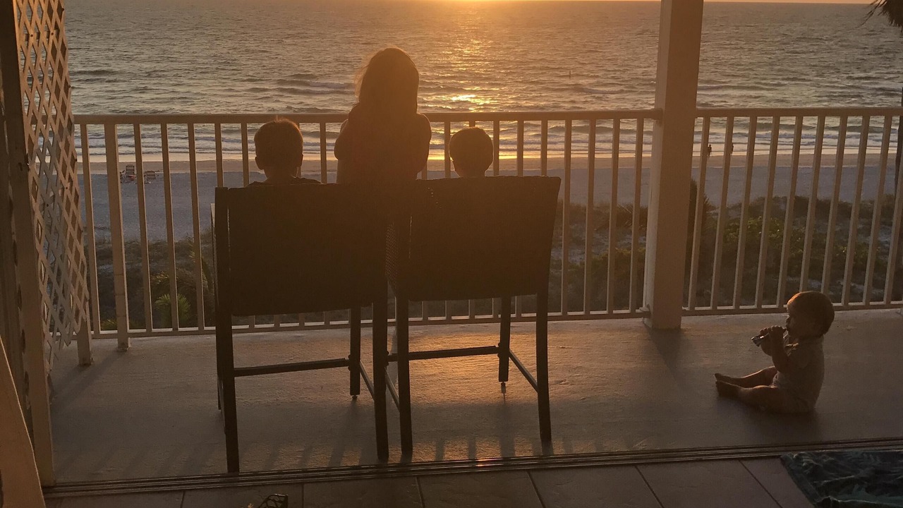 Photo of Others in Indian Rocks Beach