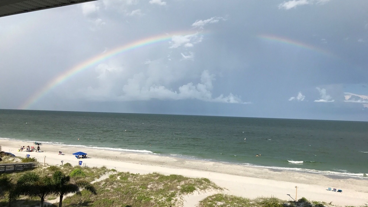 Photo of Others in Indian Rocks Beach