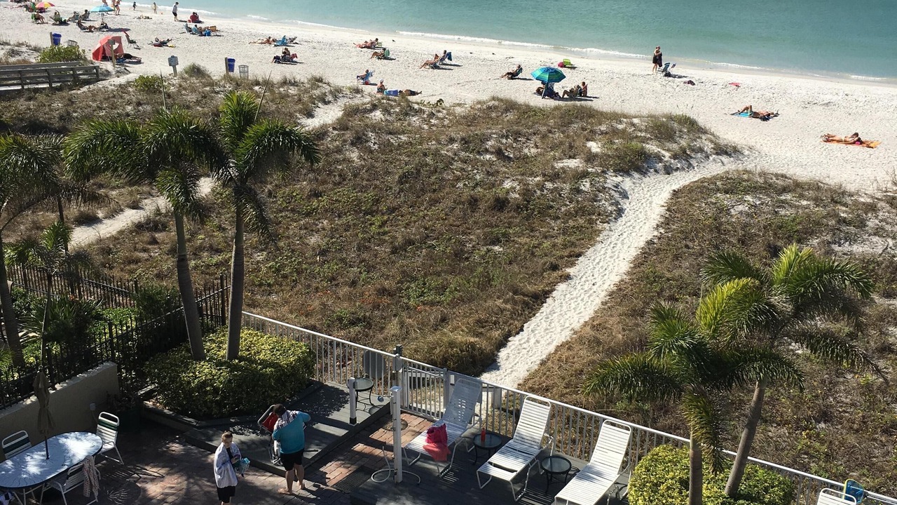 Photo of Others in Indian Rocks Beach
