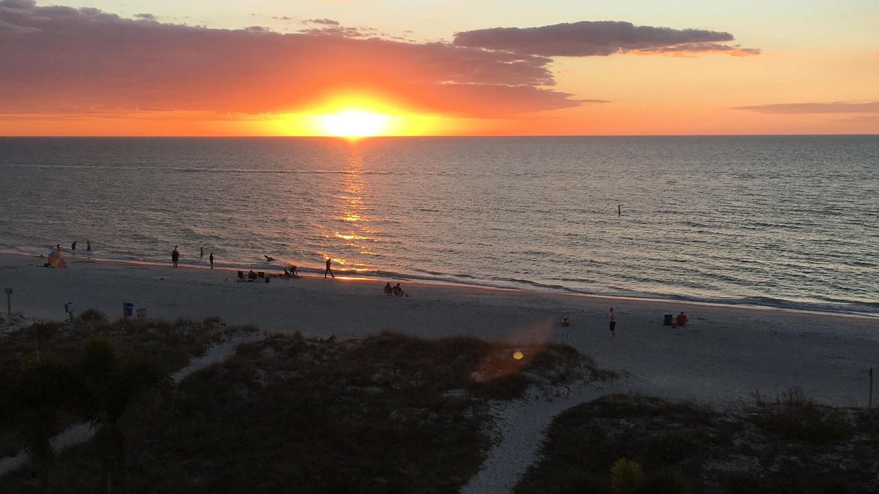 Photo of Others in Indian Rocks Beach