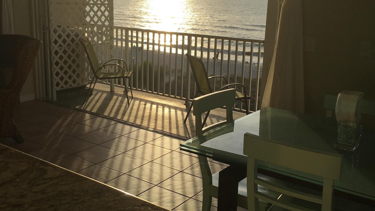 Photo of Others in Indian Rocks Beach