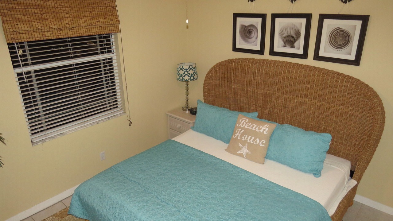 Photo of Others in Indian Rocks Beach