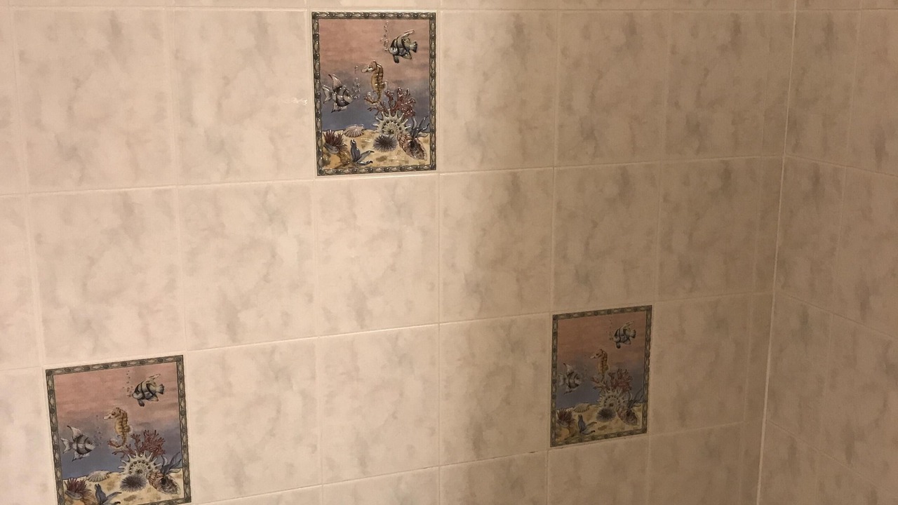 Photo of Others in Indian Rocks Beach