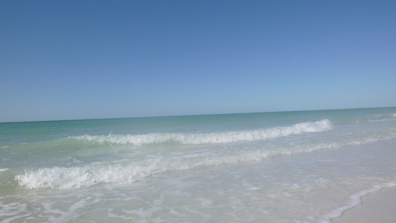 Photo of Others in Indian Rocks Beach