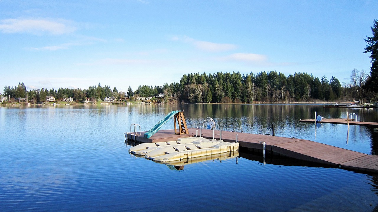 Photo of Others in Lacey