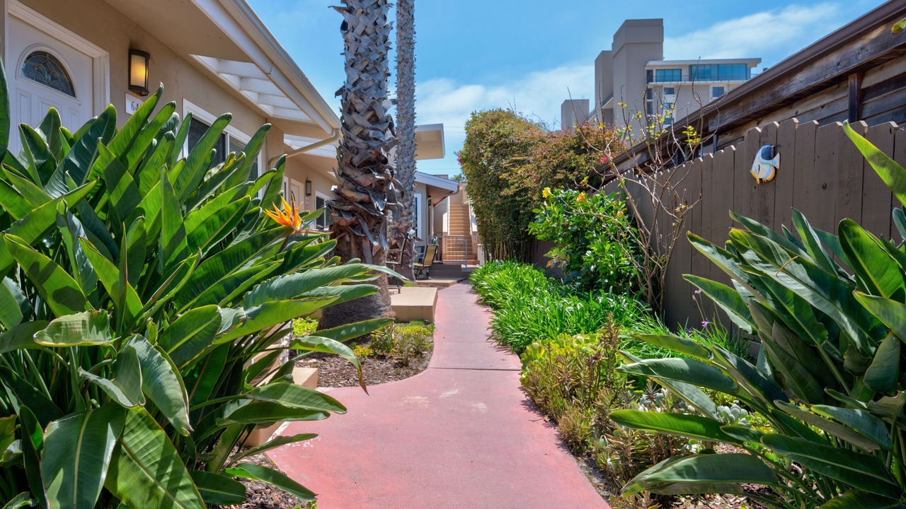 Photo of Outdoor in North Pacific Beach