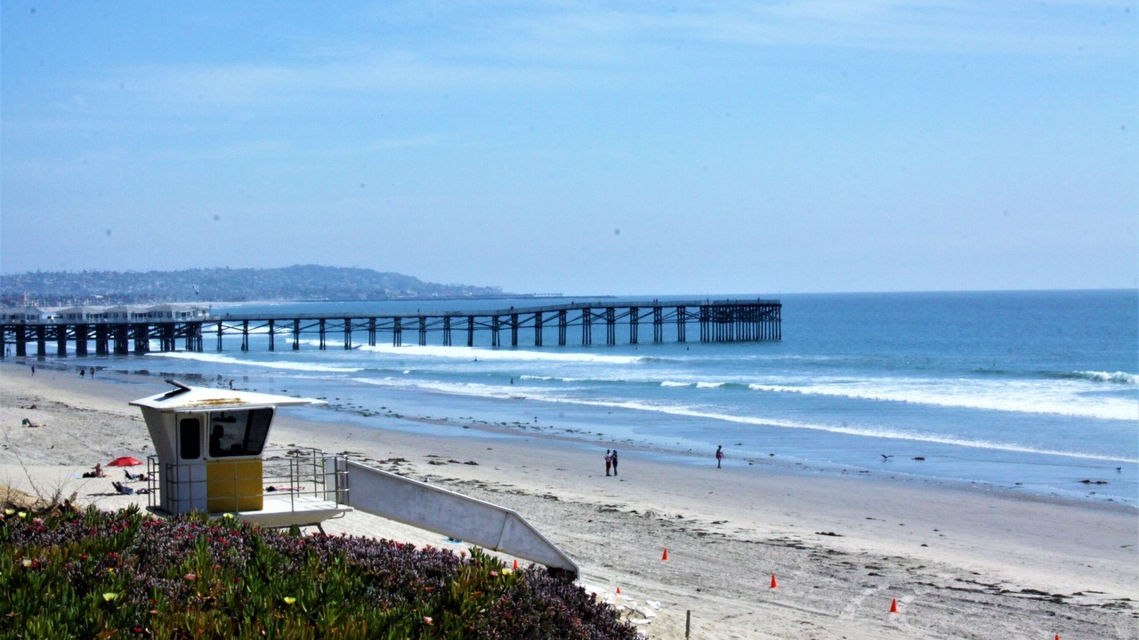 Photo of Others in North Pacific Beach