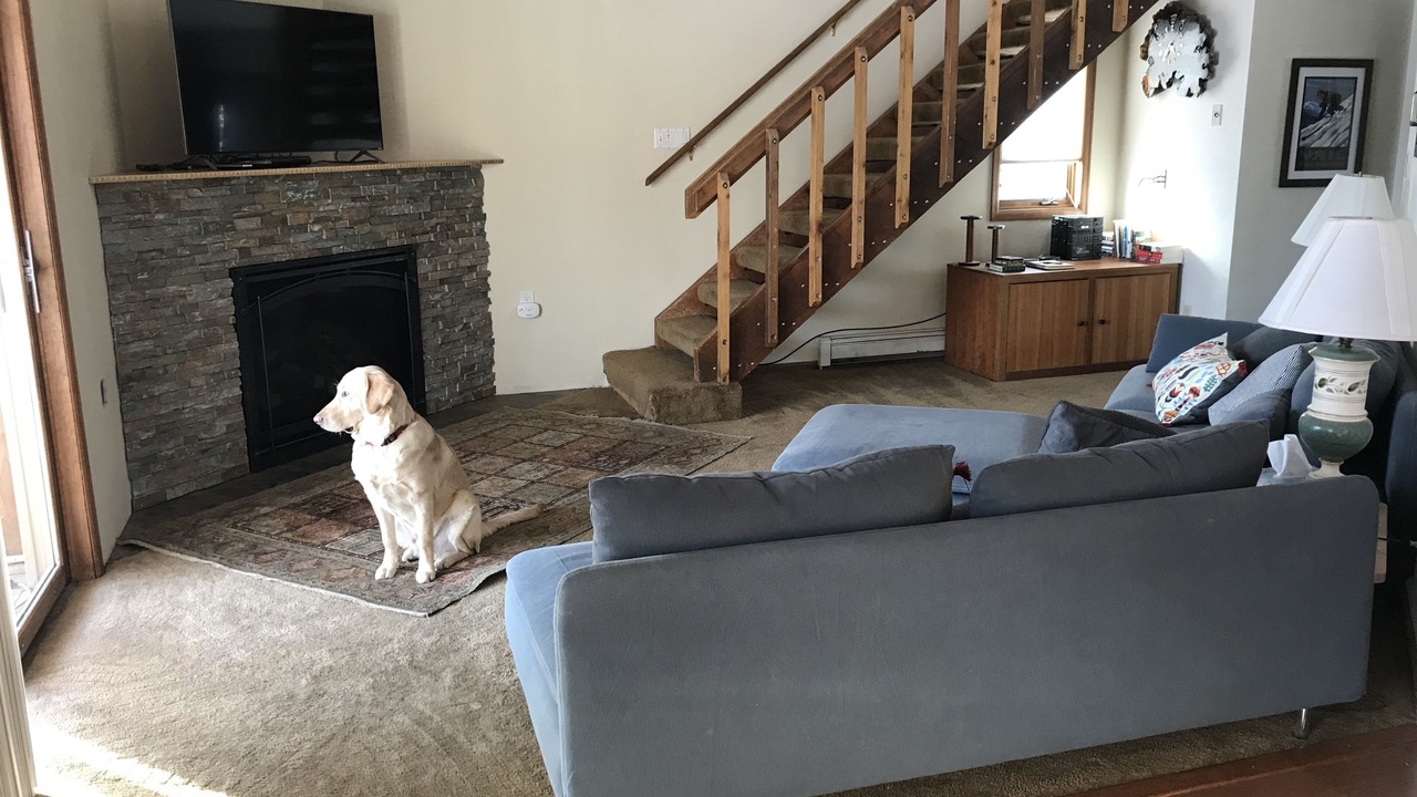 Photo of Livingroom in Frisco