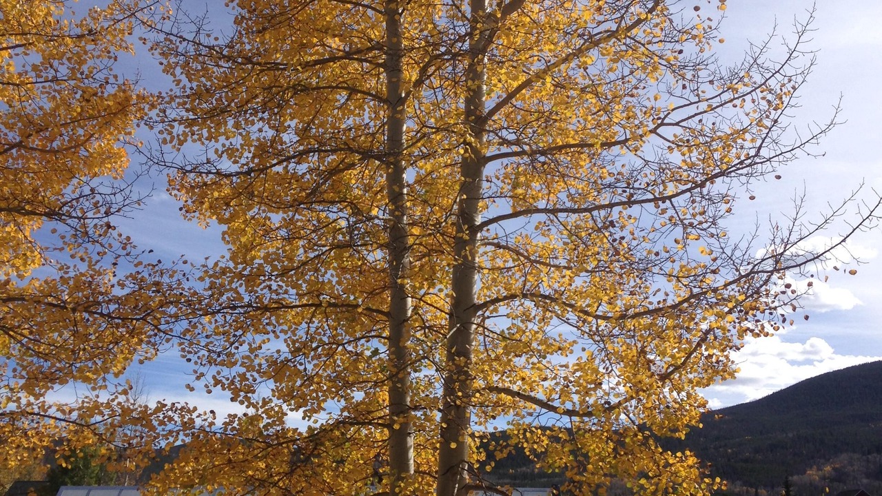 Photo of Outdoor in Frisco