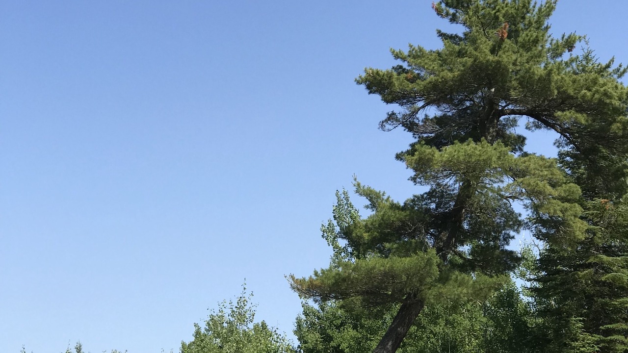 Photo of Others in Grand Marais