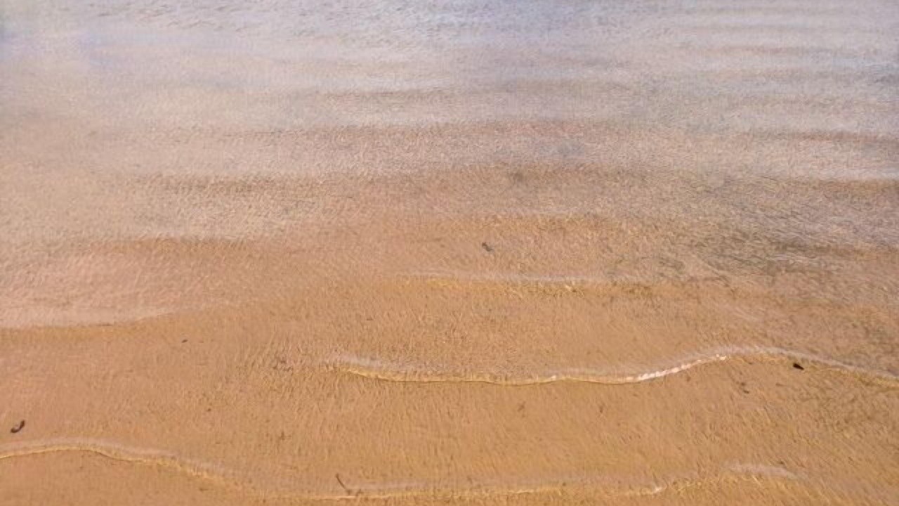 Photo of Others in Shell Lake