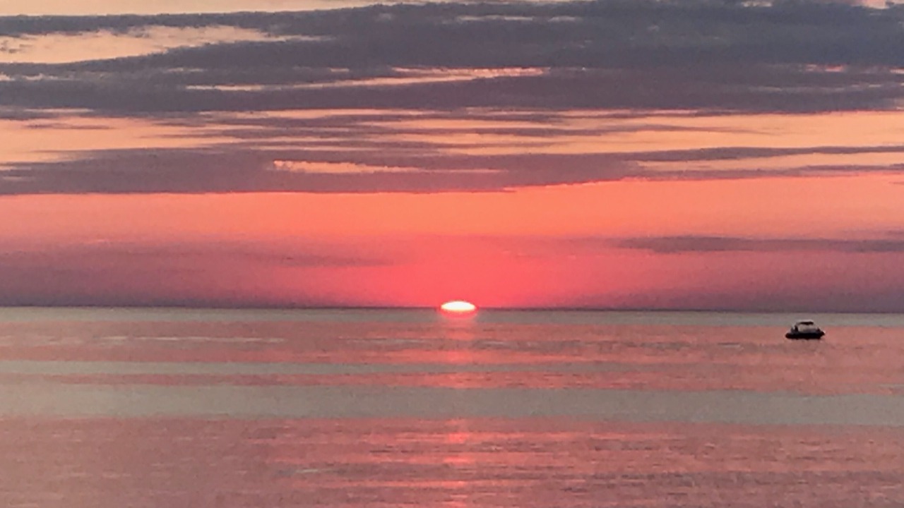 Photo of Others in New Buffalo