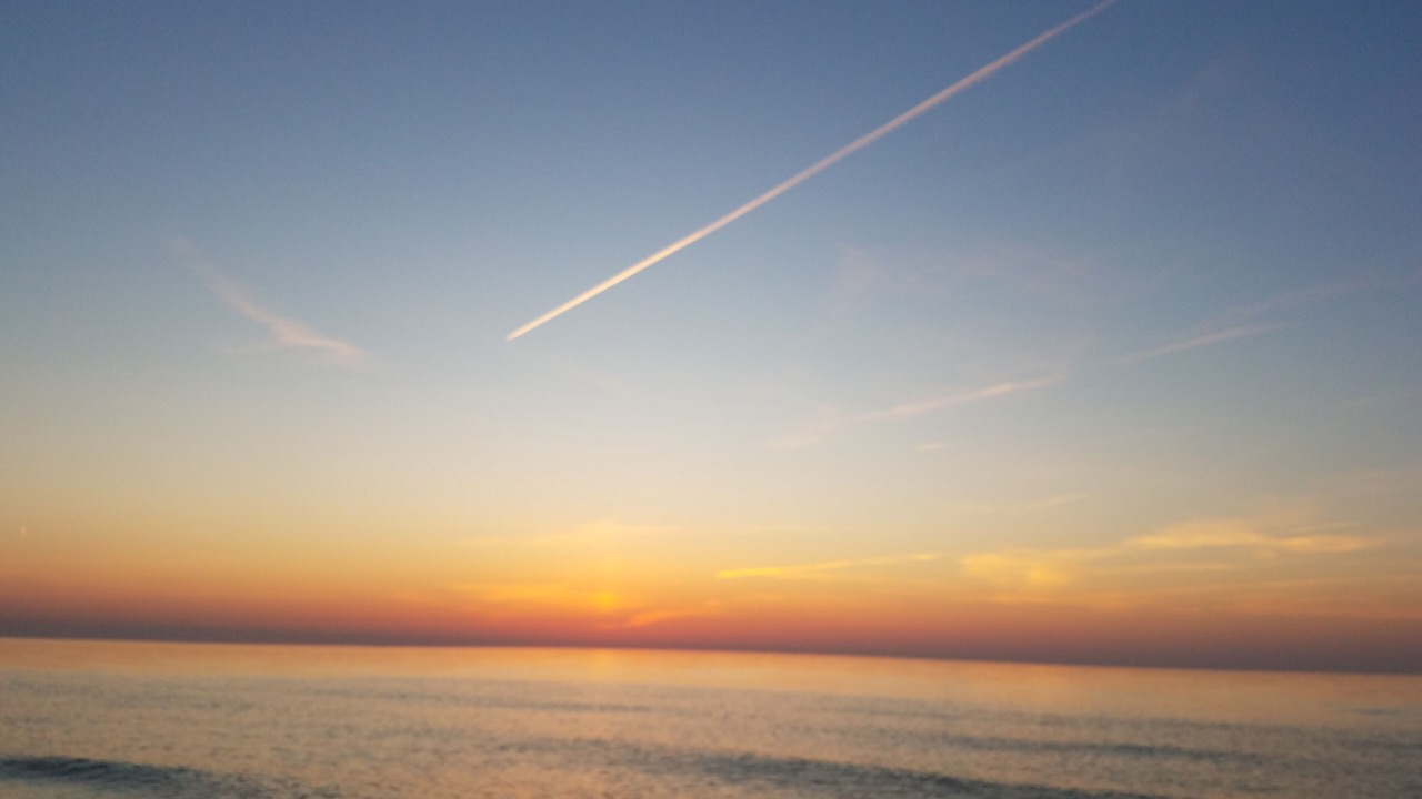 Photo of Others in New Buffalo