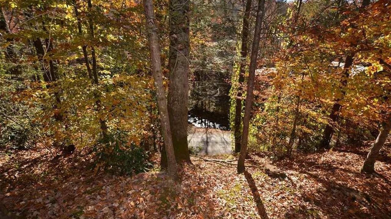 Photo of Others in Gatlinburg