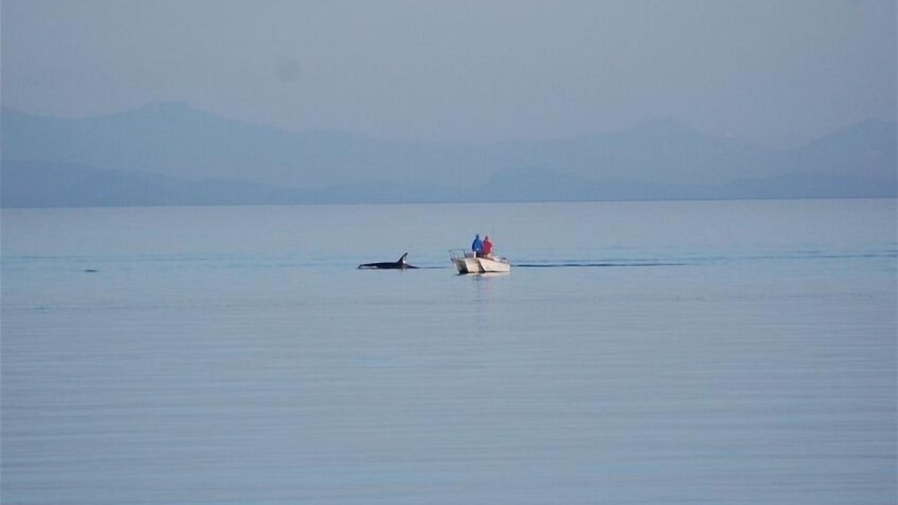 Photo of Others in Ferndale