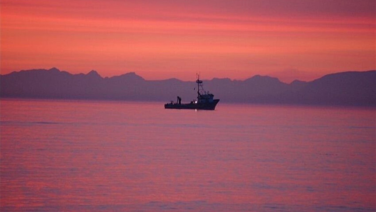 Photo of Others in Ferndale