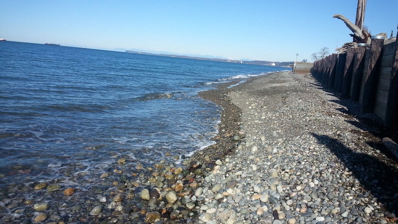 Photo of Others in Ferndale