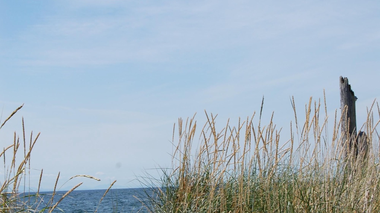 Photo of Others in Ferndale