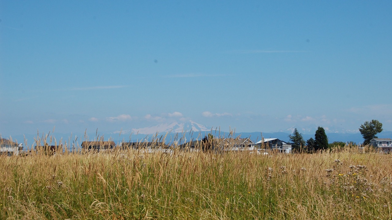 Photo of Others in Ferndale